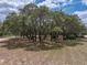 Scenic view of towering trees offering shade and natural beauty on a sunny day at 3805 Mammoth Grove Rd, Lake Wales, FL 33898