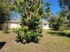 Spacious backyard featuring a mature tree adding shade and character to the property at 5702 Breskin Dr, Orlando, FL 32839