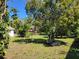 Backyard featuring a large tree providing ample shade and green space at 5702 Breskin Dr, Orlando, FL 32839