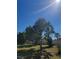 Open backyard with mature trees set against a bright blue sky at 5702 Breskin Dr, Orlando, FL 32839