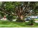 Beautiful mature tree and green grass creating a serene outdoor setting at 105 Leslie Ave, Winter Haven, FL 33880