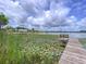 Scenic dock overlooking a lake filled with lush lily pads, offering a tranquil outdoor escape at 255 Lake Link Rd, Winter Haven, FL 33884