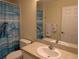 Bathroom featuring a turtle themed shower curtain and a white vanity at 4488 Turnberry Ln, Lake Wales, FL 33859
