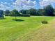 Wide-open backyard with a sapling in the distance and lush green grass, offering ample space and natural beauty at 5005 Pebble Beach Blvd, Winter Haven, FL 33884