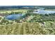 Scenic aerial view showcasing the property with stunning lake views and surrounding greenery at 1042 Golden Bough Rd, Lake Wales, FL 33898