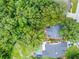 Aerial view of the property shows the property lines in red and its surrounding lush greenery at 125 Homewood Dr, Winter Haven, FL 33880