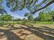 Expansive backyard offering endless possibilities with mature trees and lush greenery under a sunny sky at 14191 Se 25Th Ave, Summerfield, FL 34491