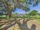 Backyard showcasing mature trees providing shade and serenity, complementing the charming home at 14191 Se 25Th Ave, Summerfield, FL 34491