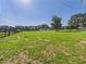 A view of the property showing grassy field with green grass and scattered shade trees at 14191 Se 25Th Ave, Summerfield, FL 34491