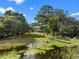 Beautiful backyard with a private dock and lush water plants, perfect for enjoying outdoor activities and the tranquil lake setting at 1540 N Lake Mirror Nw Dr, Winter Haven, FL 33881