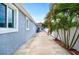 View of the exterior of the home featuring a concrete walkway, vibrant blue siding, and beautiful tropical landscaping at 1553 Wright Dr, Lakeland, FL 33805