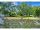 Backyard featuring green trees, grass and blue sky at 165 E Pierce St, Lake Alfred, FL 33850