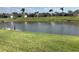 Picturesque view of the backyard pond surrounded by green grass at 263 Reserve Dr, Davenport, FL 33896