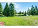 Beautiful backyard view with lush green grass, trees, and pond in a serene setting at 4100 Martindale Loop, Winter Haven, FL 33884