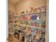 Walk-in pantry with organized shelving filled with food items, providing ample storage space at 421 Riders Loop, Auburndale, FL 33823