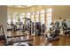 Well-equipped gym featuring modern exercise machines and abundant natural light through large arched windows at 4356 Ashton Club Dr, Lake Wales, FL 33859