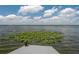 View from a dock featuring a statue of an owl overlooking a calm lake with lily pads at 4949 Lake Kotsa Dr, Lake Wales, FL 33898