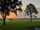 A beautiful backyard view including a gorgeous sunrise, open green space and mature trees at 1256 Center St, Lake Wales, FL 33859