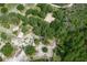 Aerial view of a home surrounded by lush greenery, showcasing a private and serene setting at 1273 Scrub Jay Trl, Frostproof, FL 33843