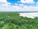 Breathtaking aerial view showcasing vast green forest meeting the serene lake under a partly cloudy sky at 2530 Arbuckle Shores Rd, Frostproof, FL 33843