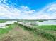 Waterfront backyard view with a private dock at 2530 Arbuckle Shores Rd, Frostproof, FL 33843