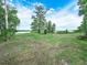 Serene view of a level lot featuring mature trees and direct lake access, ideal for recreation or building at 2530 Arbuckle Shores Rd, Frostproof, FL 33843