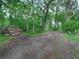 Scenic property grounds with a rustic driveway, lush woods, and whimsical yard art, creating a tranquil atmosphere at 2530 Arbuckle Shores Rd, Frostproof, FL 33843