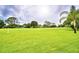 Spacious backyard featuring lush greenery and mature trees at 2835 Wingfoot Ct, Winter Haven, FL 33884
