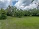 Large backyard offering expansive green space, accented by mature trees and a small wooden structure at 3985 Mammoth Grove Rd, Lake Wales, FL 33898