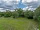 Expansive backyard featuring lush green grass and mature trees under a partly cloudy sky at 3985 Mammoth Grove Rd, Lake Wales, FL 33898