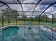 Screened-in pool featuring a basketball hoop and expansive views of lush greenery beyond the enclosure at 3985 Mammoth Grove Rd, Lake Wales, FL 33898
