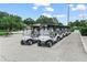 Rows of well-maintained golf carts parked in a paved lot near the golf course at 1102 Eagle Pond Dr # 1102, Winter Haven, FL 33884