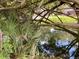 View of a backyard pond showcasing natural surroundings and water feature of the property at 1790 Turtle Rock Dr, Lakeland, FL 33803