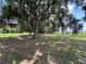 Lush landscaping with moss-draped trees creates a tranquil backdrop leading to scenic lake views at 1805 S Lake Reedy Blvd, Frostproof, FL 33843