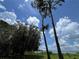 Scenic shot featuring mature trees draped in Spanish moss against a vibrant blue sky, creating a serene vista at 1805 S Lake Reedy Blvd, Frostproof, FL 33843