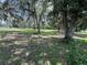 Expansive yard with lush green grass and mature trees, perfect for outdoor activities at 1805 S Lake Reedy Blvd, Frostproof, FL 33843