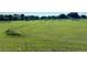 Wide-open green field for sale with vibrant green grass and a slight valley terrain at 1976 Holy Cow Rd, Polk City, FL 33868