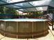Backyard featuring an above ground pool, perfect for summer fun, under a shaded, screened lanai at 2021 Oliver Pl, Winter Haven, FL 33881