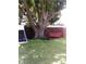 Large shade tree, swing, and chicken coop in backyard at 2021 Oliver Pl, Winter Haven, FL 33881