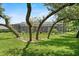 Spacious backyard with a large screened-in lanai and mature trees providing ample shade at 2988 Sequoyah Dr, Haines City, FL 33844