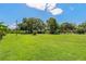 Expansive green lot with mature trees and ample space for outdoor activities or future development at 407 Snively Ave, Winter Haven, FL 33880