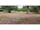 Expansive back yard featuring mature trees creating a serene natural setting in a neighborhood in Dunnellon, Florida at 4160 Poinciana Dr, Indian Lake Estates, FL 33855