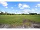 Scenic view of a lush green golf course with mature trees, perfect for golf enthusiasts at 4254 Berwick Dr, Lake Wales, FL 33859