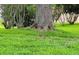 Lush green yard with a small rabbit sitting under a large, mature tree at 741 Canberra Rd, Winter Haven, FL 33884