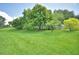 Expansive grassy backyard with mature trees providing ample shade at 10708 Belo Horizonte Ave, Clermont, FL 34711