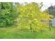 Yard features a mature tree with lush green leaves, adding natural beauty at 10708 Belo Horizonte Ave, Clermont, FL 34711