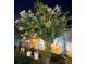Close-up of tree with flowers in backyard at night at 1366 Merrimack Pl, Davenport, FL 33837