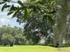 Scenic view of the community golf course at 25863 Crossings Bluff Ln, Sorrento, FL 32776