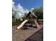 Inviting backyard playground featuring a slide, climbing wall, and shaded play area at 25863 Crossings Bluff Ln, Sorrento, FL 32776