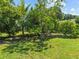 Beautiful backyard featuring green lawn, mature trees, and tropical landscaping offering a serene outdoor space at 2800 Sunset Nw Dr, Winter Haven, FL 33881